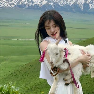 胖子、高甜爱情和错误!